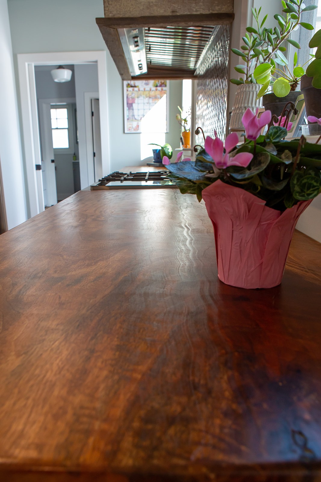 Mango Wood kitchen countertop