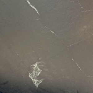 Old Dominion Dramatic Veining 